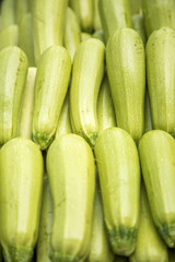 Zucchini
