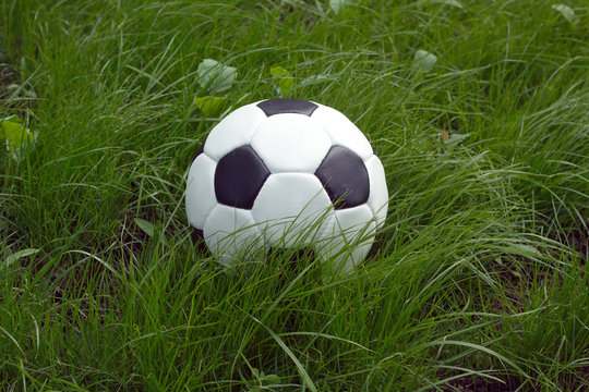White and black ball for playing soccer in high green grass