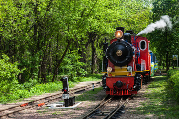 Steam locomotive going through the park