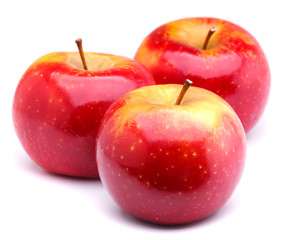 red ripe apples