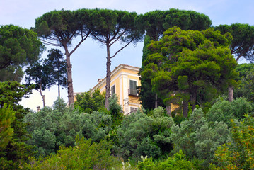 Particular house italian