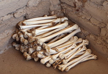 Ancient Human Bones