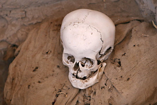 Ancient Skulls