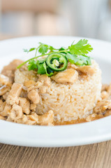 Chicken with brown sauce on rice