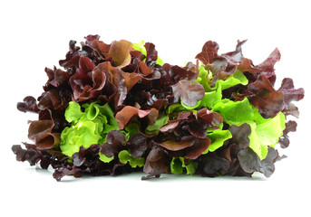 Fresh red lettuce on white