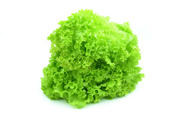 Cos Lettuce on White Background