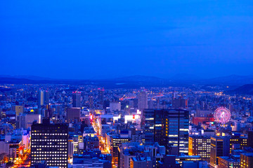 Obraz premium 札幌市街の夜景