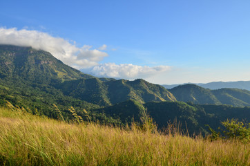 Grass Fields on Mountains