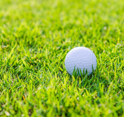 Golf ball on green grass
