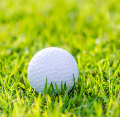 Golf ball on green grass