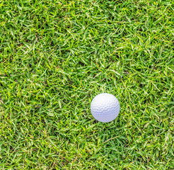 Golf ball on green grass