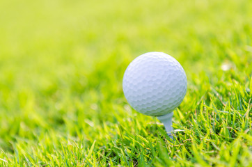 Golf ball on green grass