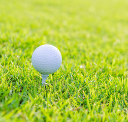 Golf ball on green grass