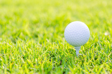 Golf ball on green grass