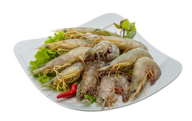 Raw tiger shrimps