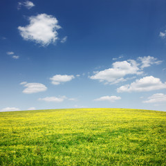 Sch&ouml;ne Sommer Landschaft