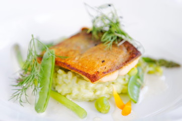 Fine dining, Trout fish fillet and spice on vegetable risotto