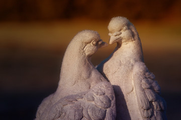 Two pigeons made of plaster as decoration