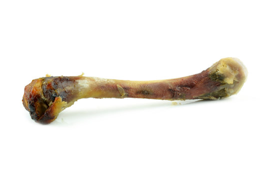 Chicken bone with shallow depth of field