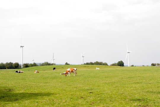 Windm&uuml;hlen 7