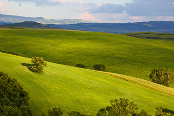 Countryside, San Quirico d`Orcia , Tuscany, Italy