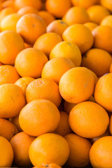 pile of orange fruit