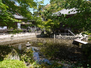 Fototapeta na wymiar 高山寺