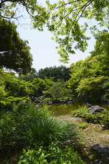 Fototapeta premium 日本庭園