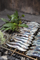 Fresh sardines, mackerel fishes before BBQ grill