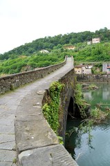 The Devil Bridge - bridge of the Madeleine