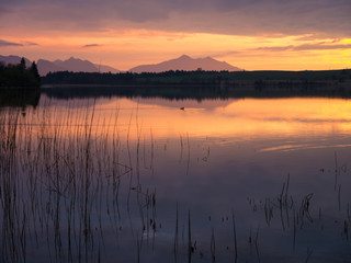 Abenddämmerung am Forggensee im Ostallgäu