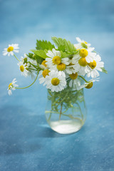 Chamomile