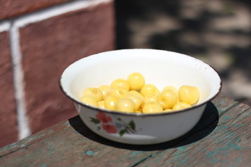 Желтая черешня, вишня