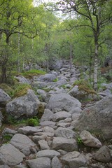 Hiking on the rocks 1