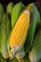 Corn