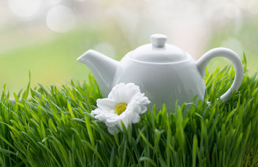 Natural tea on green grass
