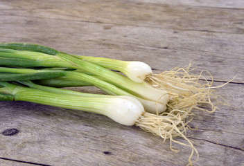 fresh spring onions