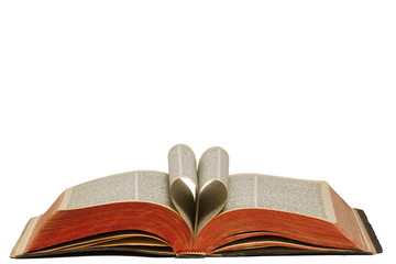 Holy Bible Heart