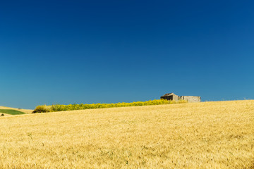 Fototapeta premium Land of Sicily