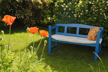 gartenbank