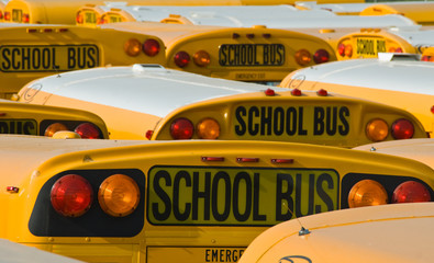 School Buses in a Parking Lot