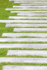 The Stone block walk path in the park with green grass