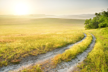 meadow and sunrise