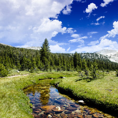 Yosemite National Park