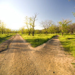 Small road to the park