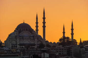 Fototapeta premium Moschee in Istanbul bei Sonnenuntergang.