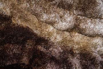 carpet and floor