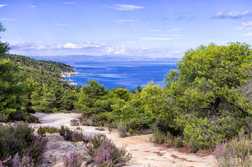 Fototapeta na wymiar View to the sea from top of a hill, in Sithonia, Greece