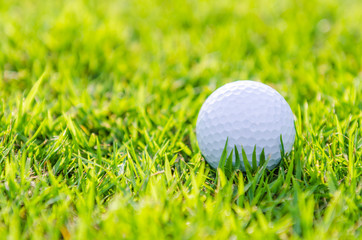Golf ball on green grass