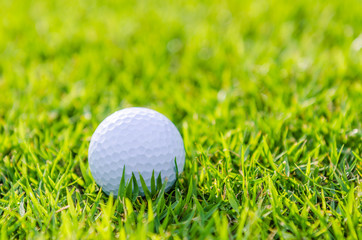 Golf ball on green grass